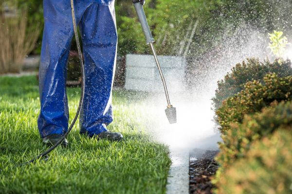 Cost of Curb Cleaning in Green Bay