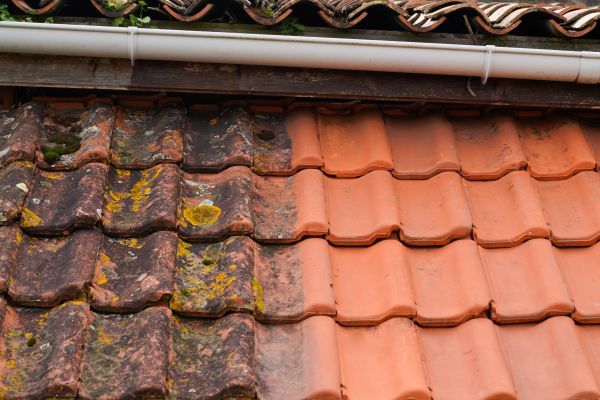 Industrial Roof Cleaning in Green Bay